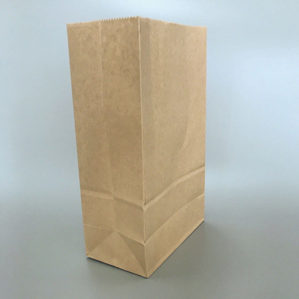 Paquete de 100 Bolsas de Papel - Food Snack reseña y precio
